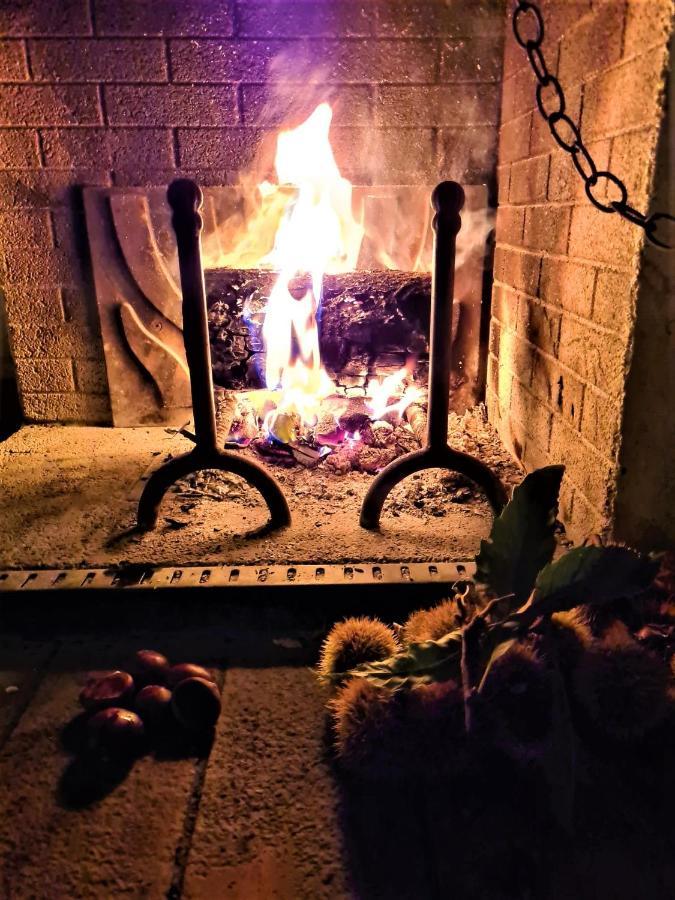 Incantevole Casa Sul Fiume, Relax E Natura Ai Piedi Della Alpi Apuane Μάσσα Εξωτερικό φωτογραφία